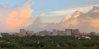 The Henry Gallery 11