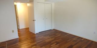 380 Place Lane Gallery 15