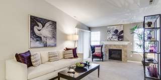Heron Springs Gallery 4