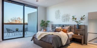 The Village Drey Gallery 20