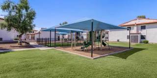 Agave on 83rd Gallery 21