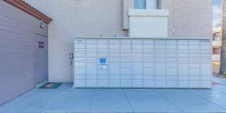 Morrison in Mesa Gallery 21