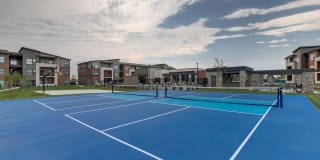 The Avante Gallery 36