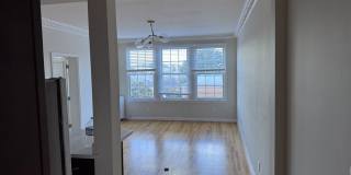 LP1 Research - #706 Gallery 1