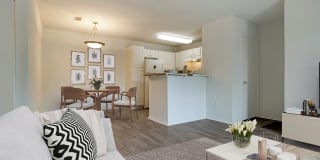 Reflection Pointe Gallery 14