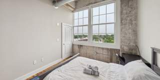 Crescendo Gallery 15