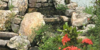 121 Ginger Rd Gallery 28