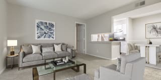 The Timbers The Timbers Gallery 3