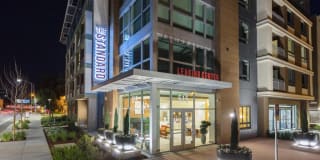 The Standard The Standard Gallery 34