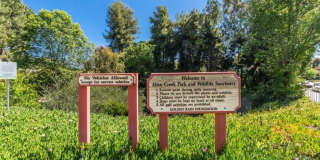 221 Avenida Majorca Gallery 31
