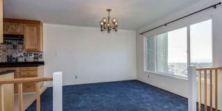 4BR/2.5BA Pet-Friendly Golden Gate Heights Home with Views, Bonus Room & 2-Car Garage | YouTube Tour Gallery 10