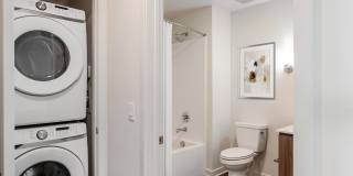 Essence Essence Gallery 58