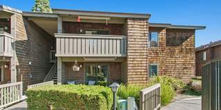 33852 Del Obispo Street Gallery 28