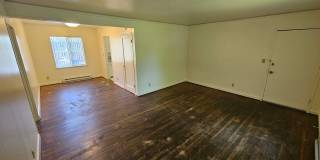315e19 Gallery 6