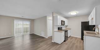 The Stella The Stella Gallery 15