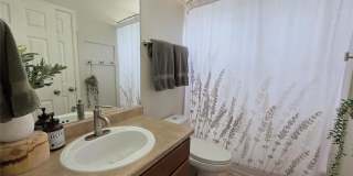 8807 Silver Glen Drive Gallery 15
