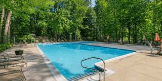 The Forest Apartments Gallery 26