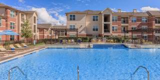 Ravella at Sienna Gallery 4