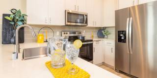 Solasta Solasta Gallery 3