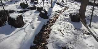 8BR House on iuka ave ravine – Central Campus – Garage – Flexible Move-In Gallery 1