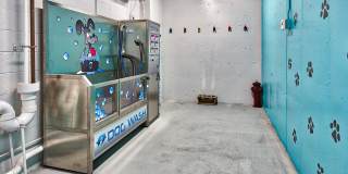 Attain Downtown Gallery 6