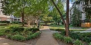 1570 SPRING GATE Drive Gallery 16