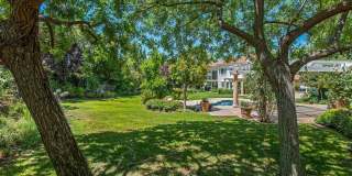 31858 Saddletree Drive Gallery 33