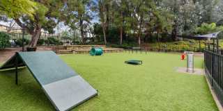 Sofi Ocean Hills Gallery 23