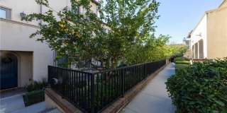 844 Citrus Court Gallery 23