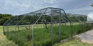 Massive 4 Bed 3 Bath on 2.64 acres in Ace Acres Gallery 68