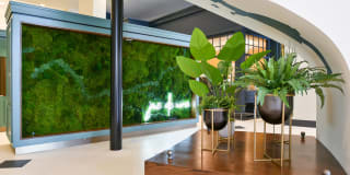 Avec on H Street Gallery 23