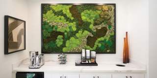 Amador Village Gallery 31