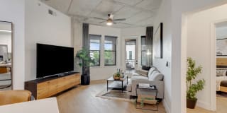 Elliston 23 Gallery 9