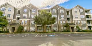 Oakwood Vista Gallery 31