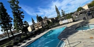 Elevate Apartment Homes Gallery 28