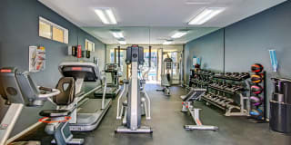 Sofi Canyon Hills Gallery 17