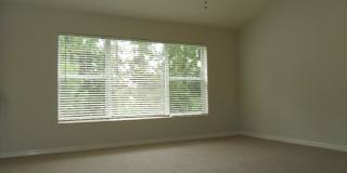 11116 Windsor Place Cir Gallery 11