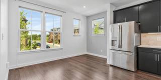 43509 APPLE ORCHARD Square Gallery 15