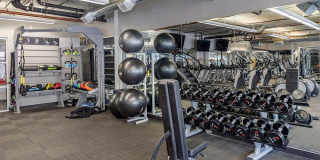 Cortland on Blake Gallery 14