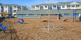 Woodside Eleven Gallery 26