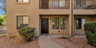 13636 N SAGUARO Boulevard unit: 103 Gallery 1