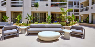 Museum Terrace Gallery 15