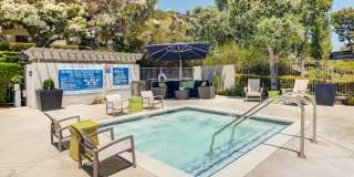 Harbor Pointe Apartments Gallery 5