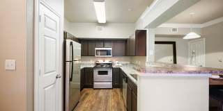 River Pointe Gallery 5
