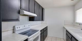 833 Cinnamon Gallery 10