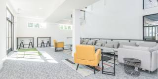 231 Walton Avenue unit: 206 Gallery 4