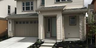 2244 Shiraz Cmn Gallery 1