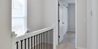 Brand New Home in FRANKLINTON Gallery 19