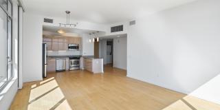 The Grand Gallery 53