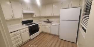 34162 Ruby Lantern Street Gallery 1